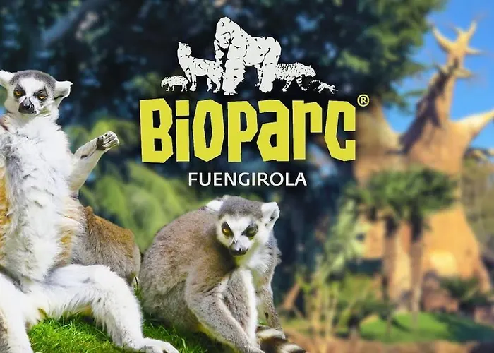 Myramar Sauce - Spacious 3Br Apartment *