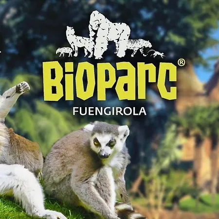 Amazing & Spacious 3bdr Myramar Sauce *